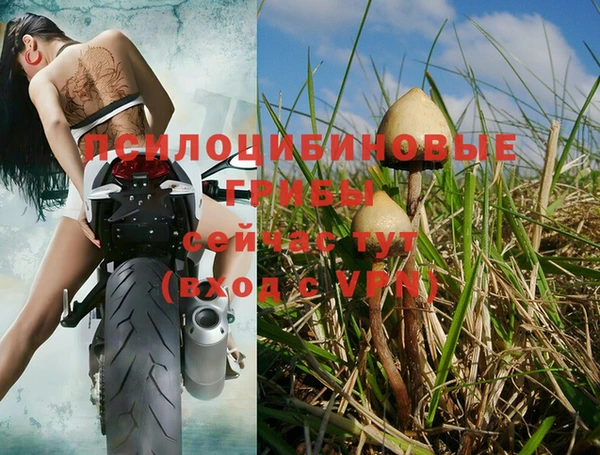 кокаин колумбия Лабытнанги