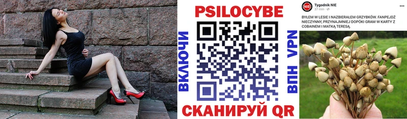 Псилоцибиновые грибы Psilocybine cubensis  Медынь 