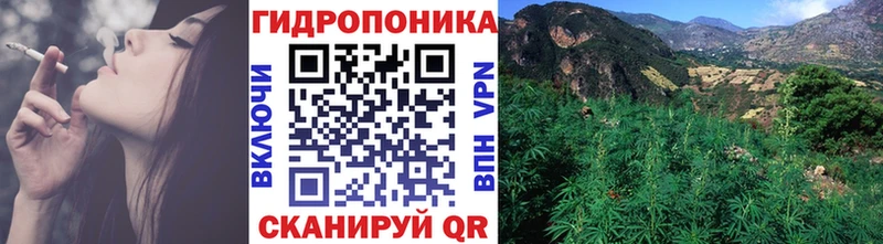 Каннабис марихуана  Медынь 
